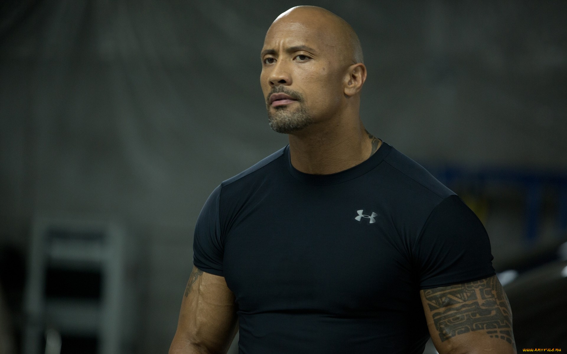 , dwayne johnson , the rock, 